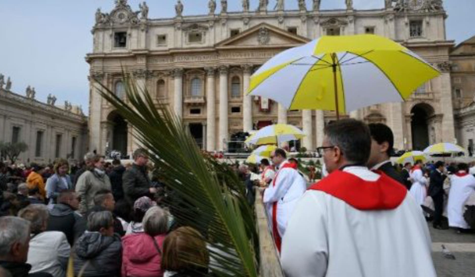 Minggu Palma di Lapangan Santo Petrus