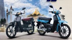 Aveta DY115. (Tenaers/Aveta)