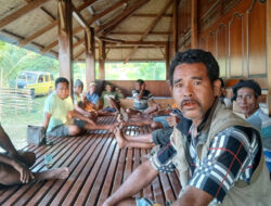 Trembesi Jaga Mata Air, 15 Petani di Sumba Barat Daya Manfaatkan Ribuan Bibit dari Provinsi