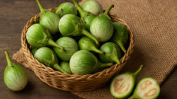 Ilustrasi terong hijau kecil.