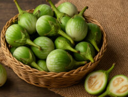 Bisa Turunkan Gula Darah hingga Cegah Kanker, Ini Rahasia Hebat Terong Hijau Kecil!