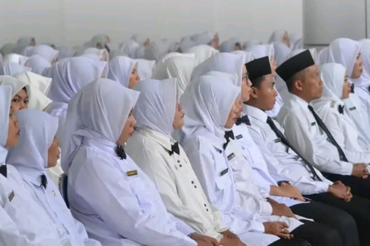 Lolos PPPK Paruh Waktu 2025? Jangan Senang Dulu, Masih Ada 5 Tahapan Berat. (Dok. Istimewa/ANTARA)  
