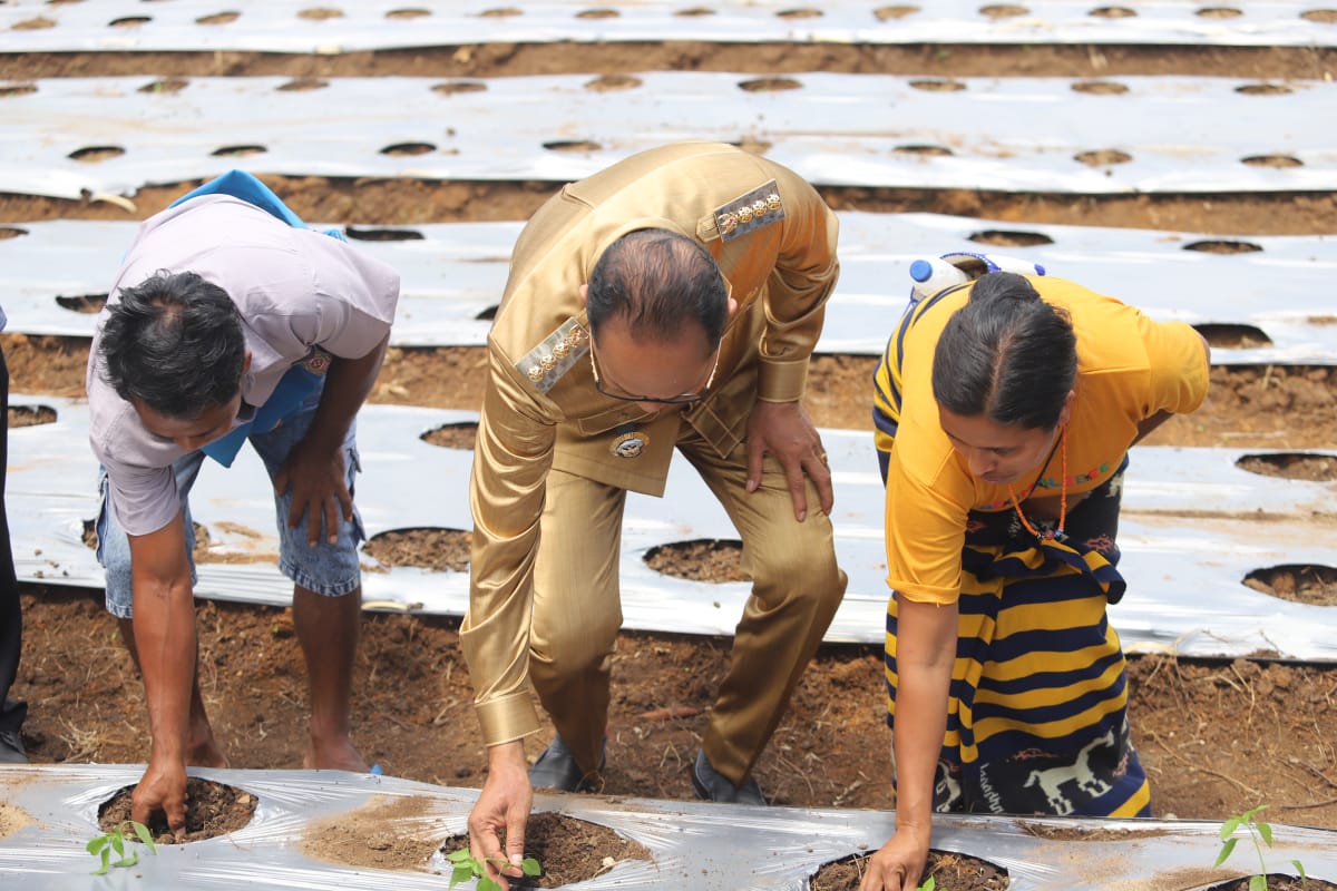 Bupati Sumba Tengah Luncurkan Program Revolusioner, Warga Miskin Dapat Kambing, Bebek, Lele dan Kebun!. (Tenaers/Maksi Tena)