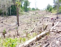 Planet Ini Hampir Tak Bernapas: Kesalahan Manusia yang Menghancurkan Rumah Bersama