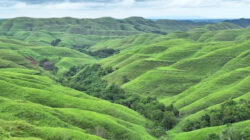 Bukit Wairinding, Sumba Timur, Nusa Tenggara Timur (NTT). (Google/Frédéric HAURY)