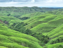 Sumba Timur di Papan Tengah NTT: Kemiskinan Turun, Tapi 1 dari 4 Warga Masih Hidup Sulit