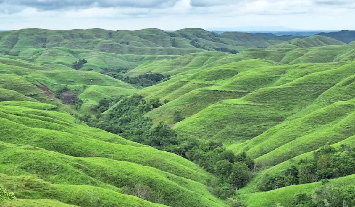 Bukit Wairinding, Sumba Timur, Nusa Tenggara Timur (NTT). (Google/Frédéric HAURY)