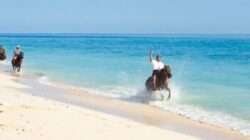 Masuk dari Tambolaka? Jangan Lewatkan Pantai Mananga Aba, Surga Tersembunyi Sumba yang Tiketnya Cuma Rp5 Ribu