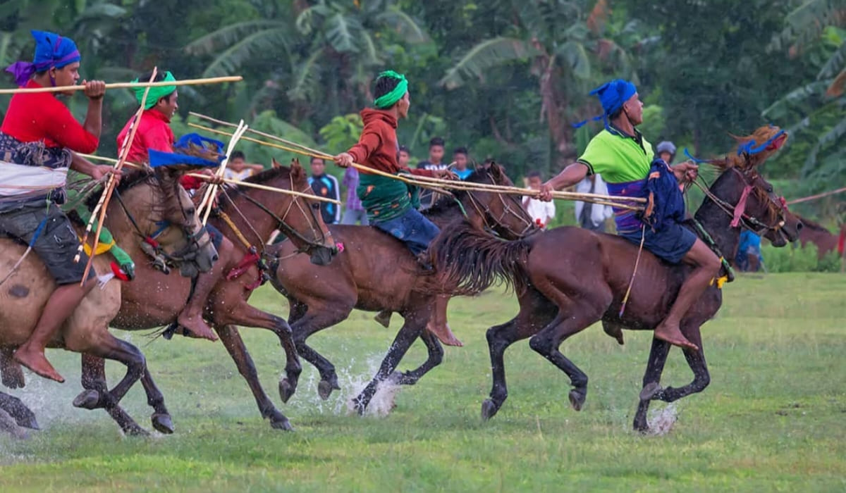 Atraksi Pasola di Kodi, Kabupaten Sumba Barat Daya (SBD), Provinsi Nusa Tenggara Timur (NTT). (Instagram/@davidamaya19)