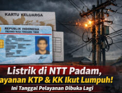 Listrik di NTT Padam, Layanan KTP dan KK Ikut Lumpuh! Ini Tanggal Pelayanan Dibuka Lagi