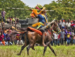 WAJIB Pakai Pakaian Adat! Bupati Sumba Barat Daya Keluarkan Aturan Ketat Jelang Pasola