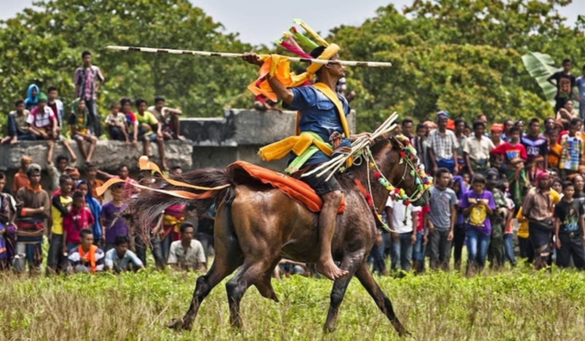 Pasola Kodi