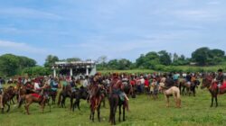 Para kesatria berkuda sedang berkumpul di tengah lapangan untuk mendengarkan arahan dari rato adat yang membawa kuda nyale. (Tenaers/Maksi Tena)