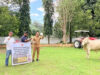 Wakil Bupati SBD Ajak Warga Jaga Toleransi Saat Penyaluran Hewan Kurban Idul Adha